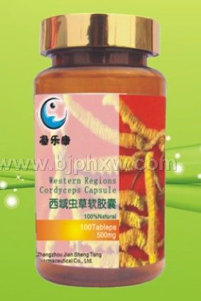 西域蟲(chóng)草 500mg×100粒