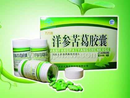 洋參苦葛