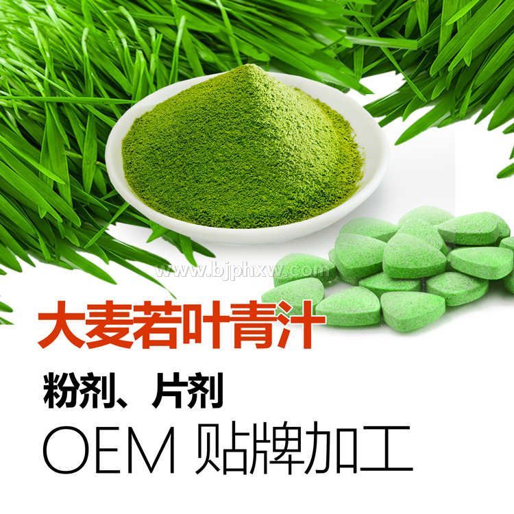 大麥若葉青汁OEM貼牌代加工 大麥青汁粉批發(fā) 供應大麥青汁片