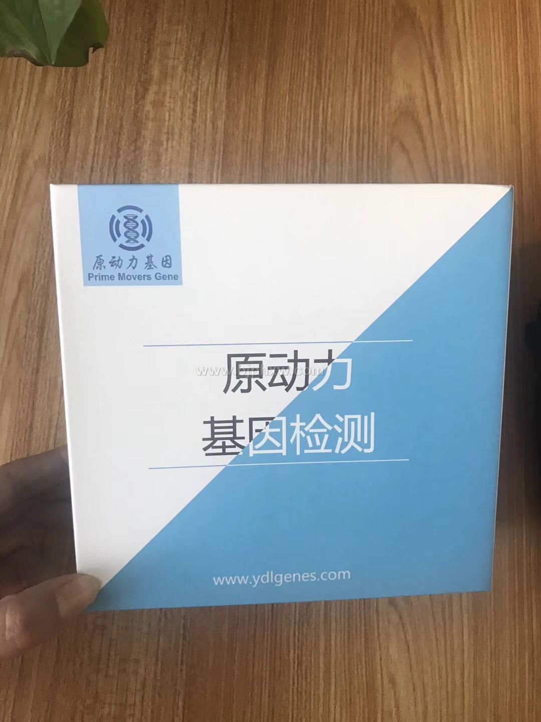 基因檢測(cè) 尋求會(huì)銷(xiāo)合作伙伴