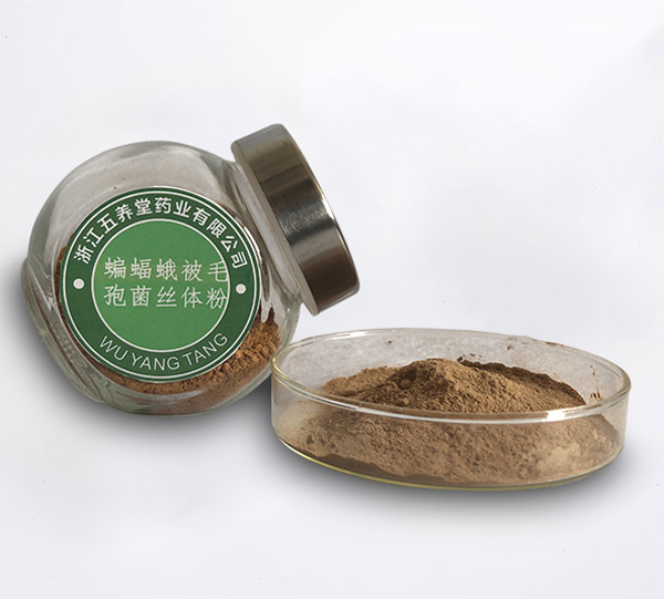 蝙蝠蛾被毛孢菌絲體粉（發(fā)酵冬蟲夏草菌絲體粉）（浙江五養(yǎng)堂藥業(yè)有限公司）
