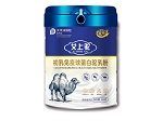 新疆駝奶粉代加工廠家