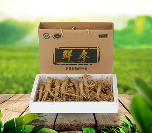 鮮西洋參