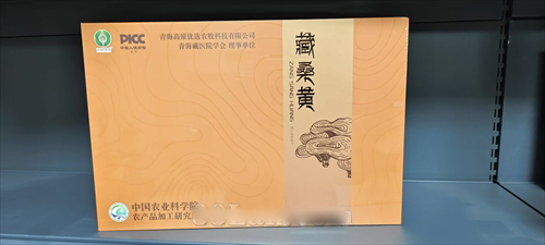 藏桑黃