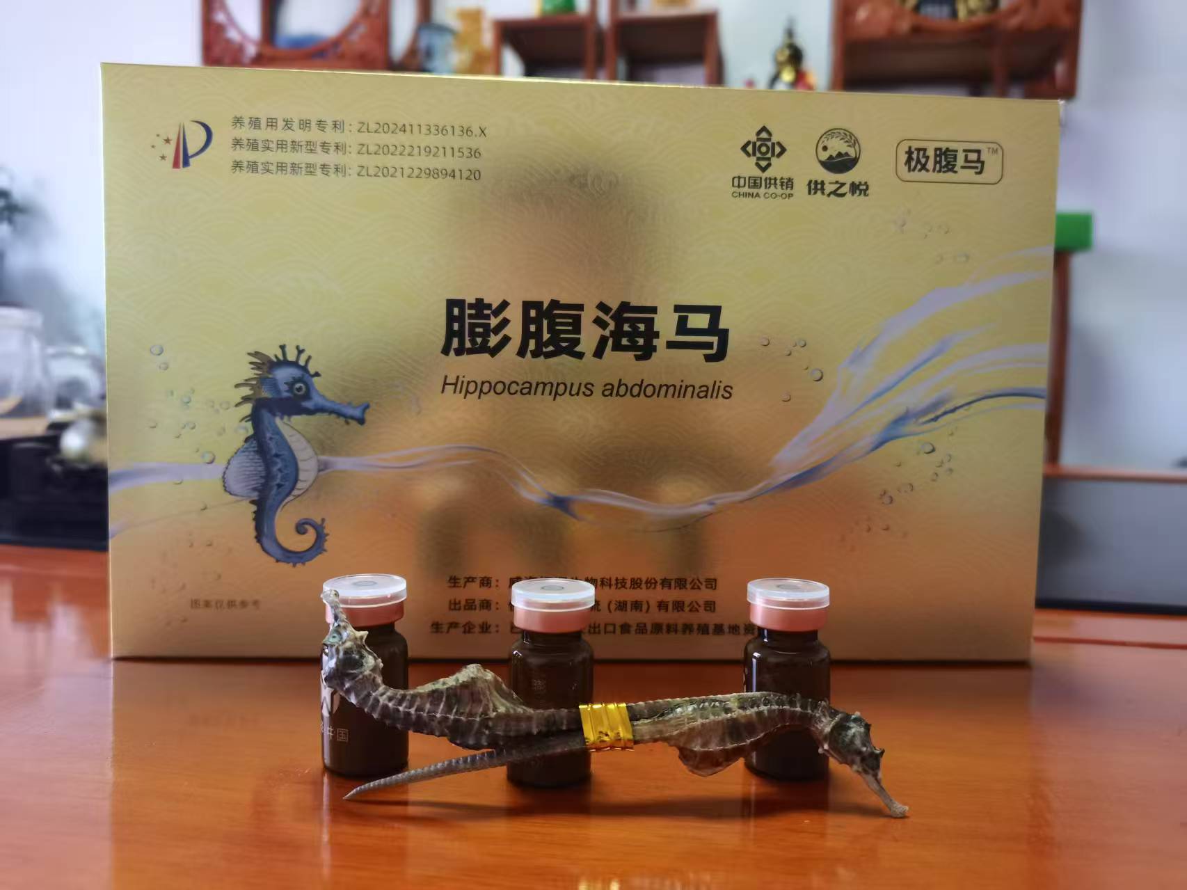 膨腹海馬