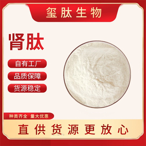 腎肽