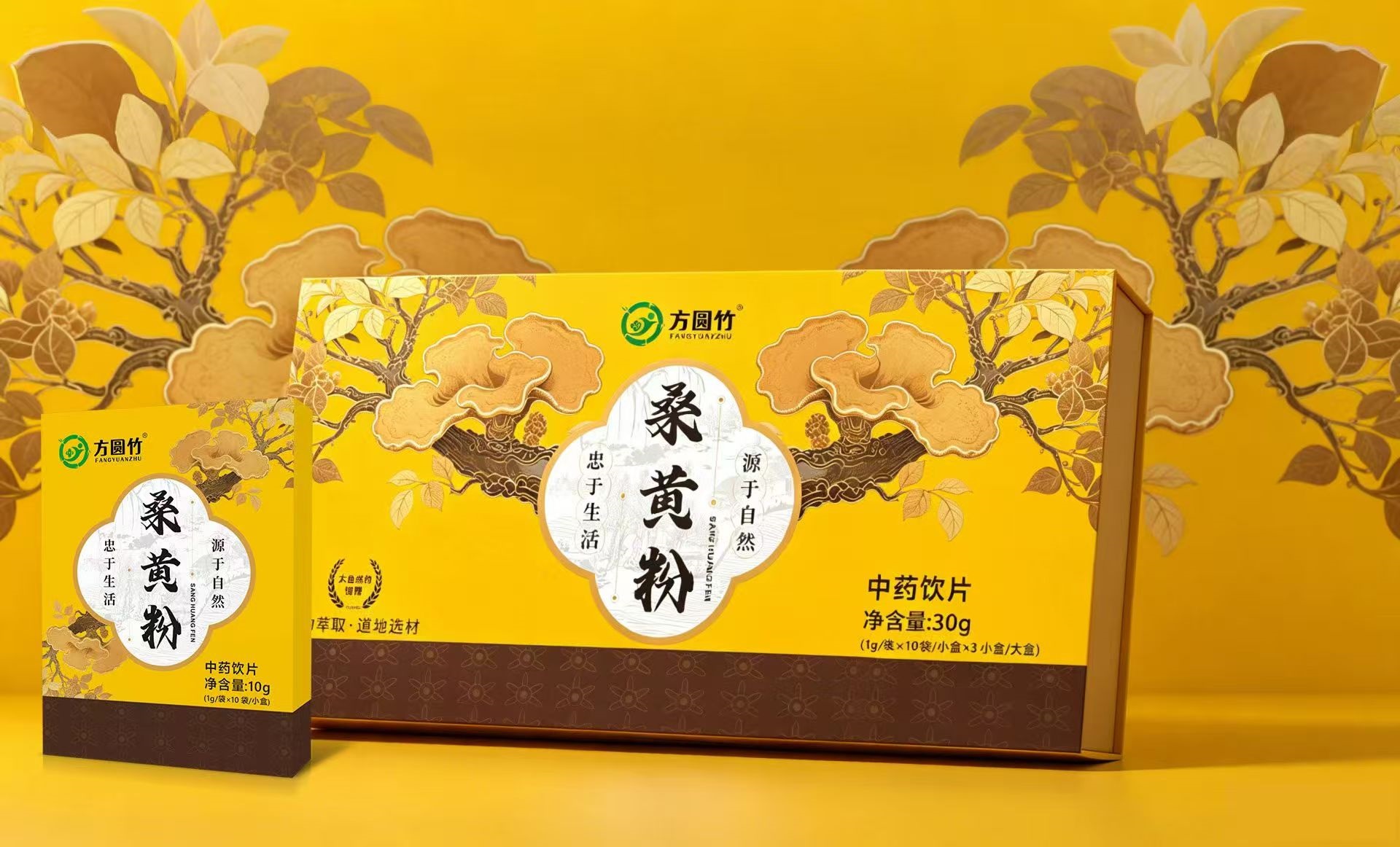 桑黃粉