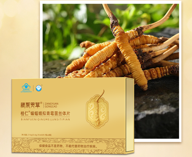 冬蟲(chóng)夏草菌絲體片禮盒裝